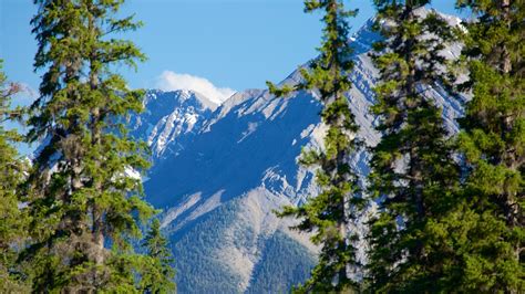 The Best Banff Vacation Packages 2017 Save Up To C590 On Our Deals