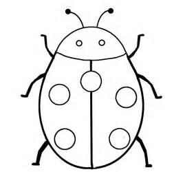 Realistic Insect Coloring Pages At Free Printable