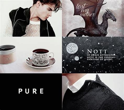 Love And Loss Harry Potter Fan Art Theodore Slytherin Aesthetic