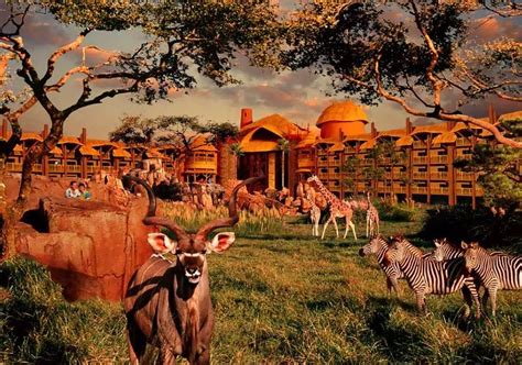 Disneys Animal Kingdom Lodge Deluxe Studio Savanna View Updated 2020