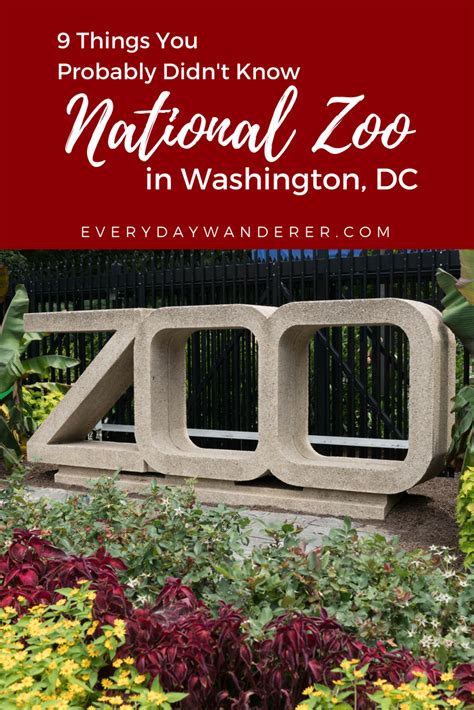 Smithsonian National Zoo 9 Facts Defining Its Legacy Washington Dc