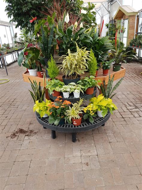 After working as a nurse my whole life and then spending some time in