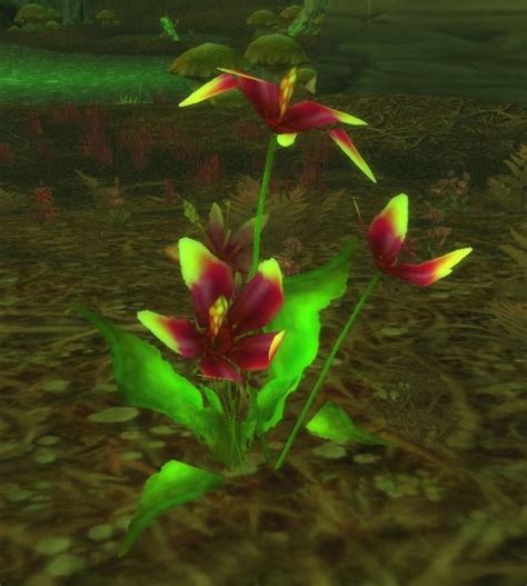 Cleansed Songflower Wowpedia Your Wiki Guide To The World Of Warcraft