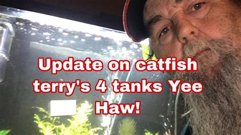 Relax Music And Update On Catfish Terrys 4 Aquarium Tanks Youtube