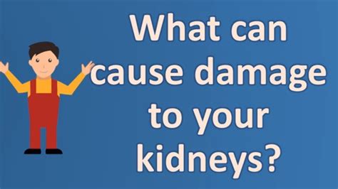 What Can Cause Damage To Your Kidneys Youtube
