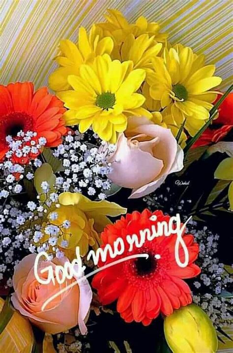 Good morning wishing you a wonderful day flower quote. Abhay Kakade | Good morning flowers, Lovely good morning ...