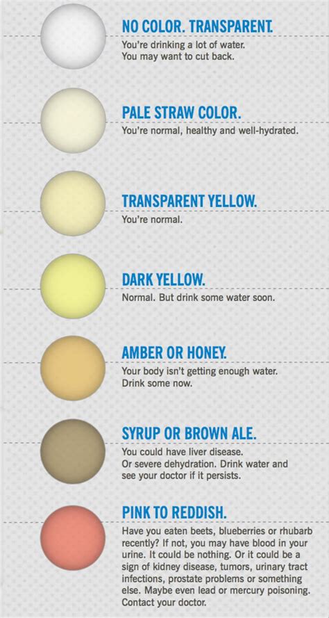 urine color chart and meaning in 2020 color of urine nursing what your urine color tells about