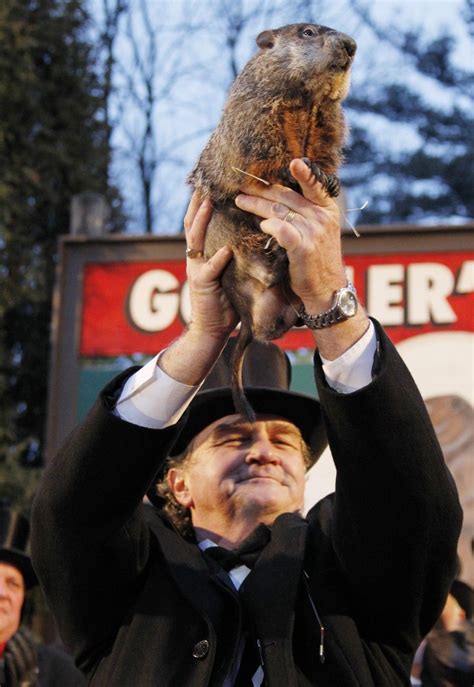 Punxsutawney Phil Photos And 5 Facts About Americas Favorite