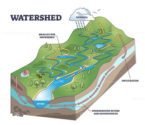Watershed As Water Basin System With Mountain River Streams Outline
