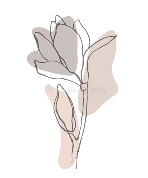 Modern Abstract Shapes Vector Background Or Layout Contour Line Drawing Flower Of Magnolia