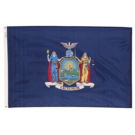 Valley Forge Flag 3 Ft X 5 Ft Nylon New York State Flag Ny3 The