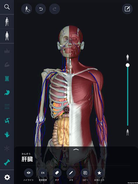 Teamlabbody 3d Motion Human Anatomy In 2021 Human Body App Human
