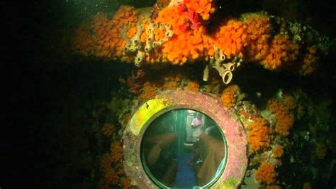 Aquarius Reef Base Habitat Night Dive Youtube