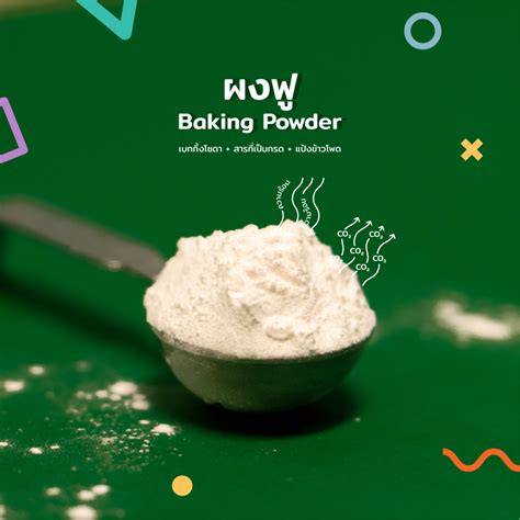 Baking Soda VS Baking Powder | เบกกิ้งโซดา VS ผงฟู