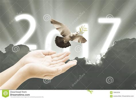 Hand Releasing A Bird Into The Air On Sky 2017 Background Happy Stock ...