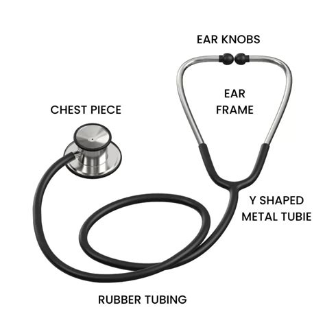 Stethoscope Parts Uses Method Types How To Buy Physiology