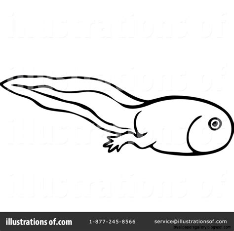 Tadpole Clipart Wallpapers Gallery