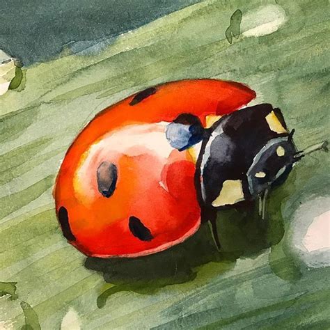 Watercolor Lesson Of A Ladybug Watercolor Ladybug Youtuber