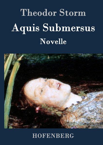Aquis Submersus Von Theodor Storm Bei Bücherde Bestellen