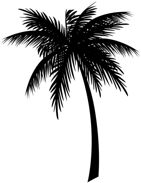 Coconut Palm Tree Clip Art Png Clipart