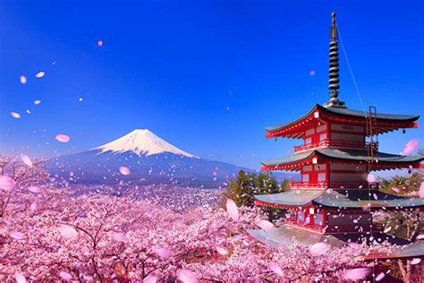 これぞ日本の絶景！春にしか撮れない“奇跡のトリプルショット”を撮りに行こう｜zekkei Japan