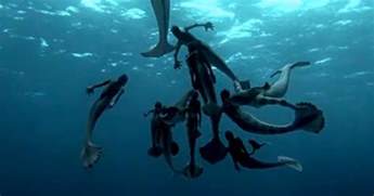 Stream Full Movie On PC (Year 2012) Mermaids: The Body Found Anonymously From Vpn Th?id=OIP