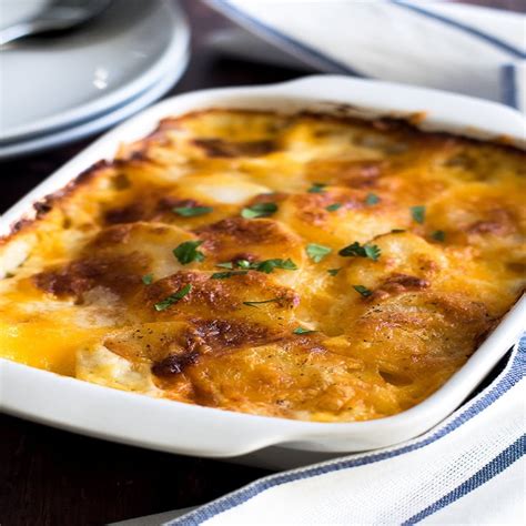 Potato Gratin