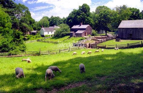 Different Types Of Farming In The 1600s English Colonies Moultonborough