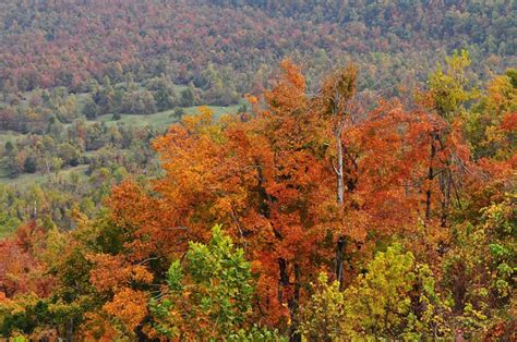 Autumn Colors In Ozark Mountains Of Arkansas Go To