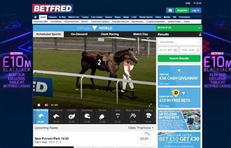 The Best Horse Racing Betting Sites For 2022 Completely Reviewed