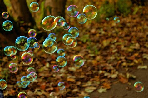 Bubbles Free Stock Photo Public Domain Pictures