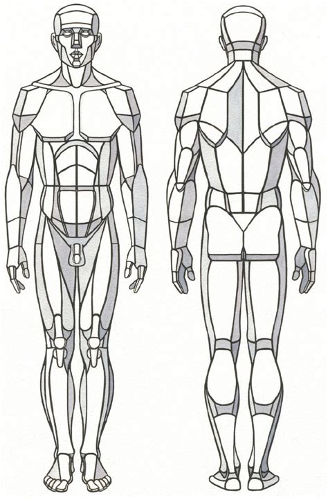 Pin by Basia Błaszczuk on Draw Human anatomy drawing Human body
