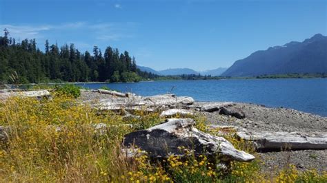 Lake Quinault 2021 All You Need To Know Before You Go With Photos