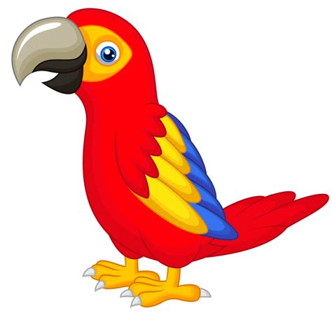 Parrot Clipart Burd Parrot Burd Transparent Free For Download On