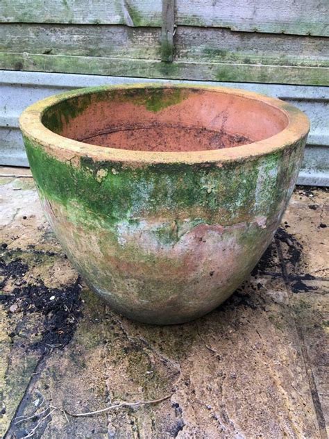 If you're looking for a raised garden bed remember that potted plants need more fertilizer and water than plants grown in the ground. Large Terracotta Plant Pot | in Hackney, London | Gumtree