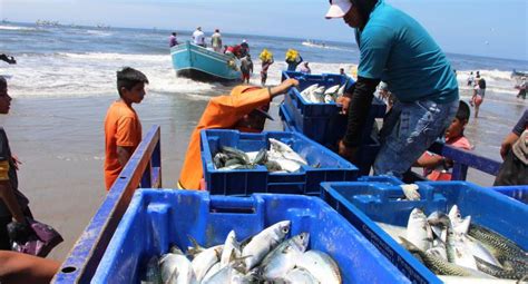 Fenómeno De El Niño Favorece La Pesca En Lambayeque Fotos Peru El