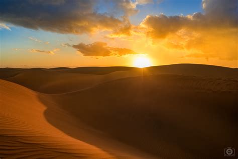 Desert Sunset Background High Quality Free Backgrounds