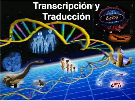 PPT Transcripción y Traducción PowerPoint Presentation free download