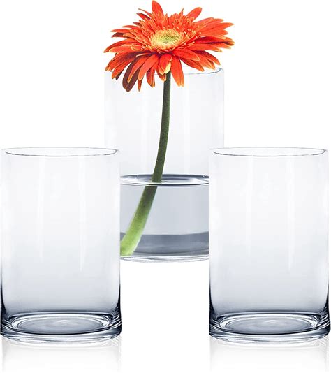 Buy 6 Inches Tall 15 Cm Clear Glass Cylinder Vases Pack Of 3 Centerpiece Flower Vase Floating