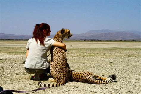 Wildlife Worker Raises Amazing Pack Of 16 Cheetahs With