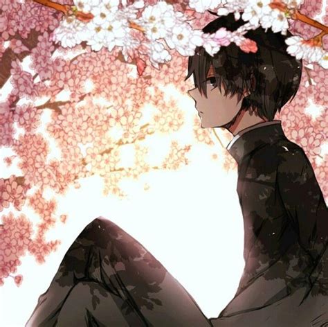 Anime Boy And Cherry Blossoms Anime Manga Art Manga Cute
