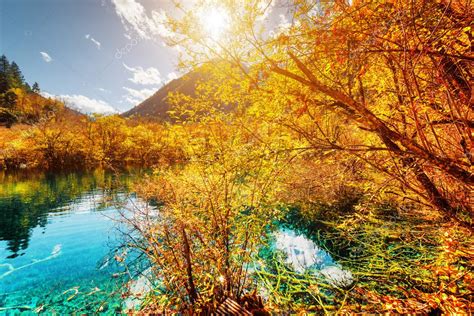 Amazing Pond With Azure Crystal Clear Water Among Autumn Woods — Stock