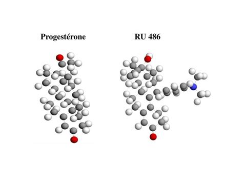 Ppt Tp Le Ru 486 Une Molécule Contragestive Powerpoint