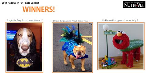 The Halloween Pet Photo Contest Winners Dog Fun Costumes Pet