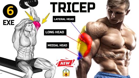 Unleash Your Tricep Power The Top 6 Exercises For Massive Arm Gains
