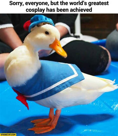 World Greatest Cosplay Duck Dressed As Donald Duck