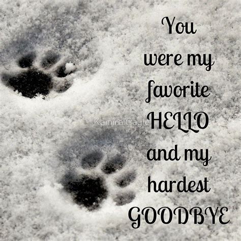 Dog Heaven Quotes Dog Quotes Love Lost Dog Quotes Pet Quotes Cat