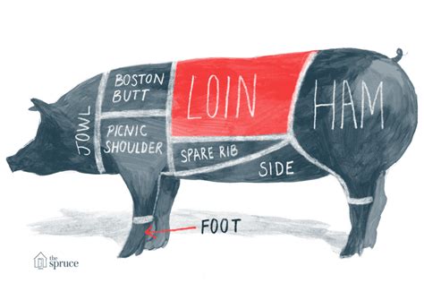 Cuts Of Pork Pig Diagram And Pork Chart