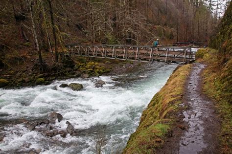 Hikers Return To Eagle Creek Trail As One Of Oregons Best Hikes