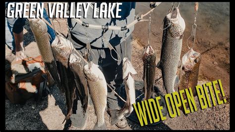 Epic Day Of Trout Fishing 300 Sub Giveaway Green Valley Lake